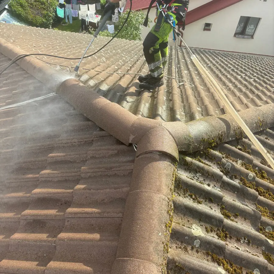 Deep Clean tīrīšanas darbu piemērs — jumta tīrīšana
